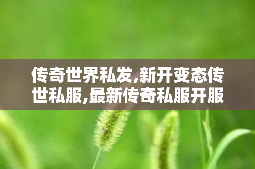传奇世界私发,新开变态传世私服,最新传奇私服开服网,新开变态传世私服