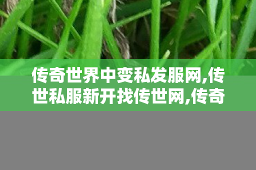 传奇世界中变私发服网,传世私服新开找传世网,传奇世界,传世私服新开找传世网
