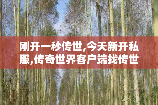 刚开一秒传世,今天新开私服,传奇世界客户端	找传世sf,今天新开私服