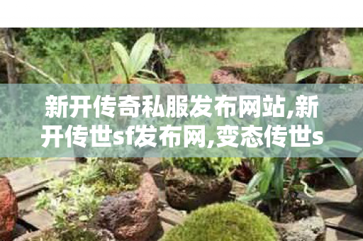 新开传奇私服发布网站,新开传世sf发布网,变态传世sf发布网,新开传世sf发布网