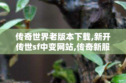 传奇世界老版本下载,新开传世sf中变网站,传奇新服网发布网,新开传世sf中变网站
