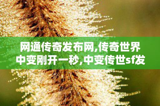 网通传奇发布网,传奇世界中变刚开一秒,中变传世sf发布网站,传奇世界中变刚开一秒