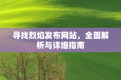 寻找烈焰发布网站，全面解析与详细指南