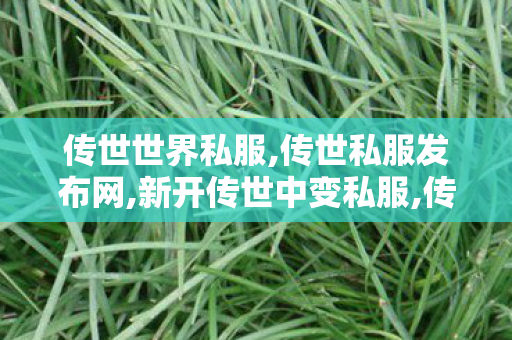 传世世界私服,传世私服发布网,新开传世中变私服,传世私服发布网