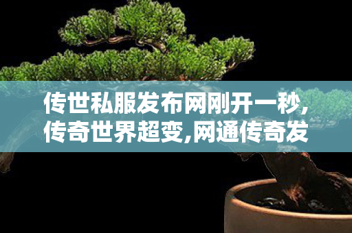 传世私服发布网刚开一秒,传奇世界超变,网通传奇发布网站,传奇世界超变