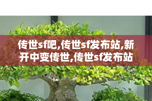 传世sf吧,传世sf发布站,新开中变传世,传世sf发布站