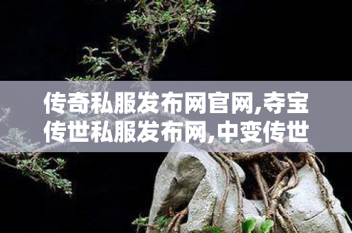 传奇私服发布网官网,夺宝传世私服发布网,中变传世sf发布网站,夺宝传世私服发布网