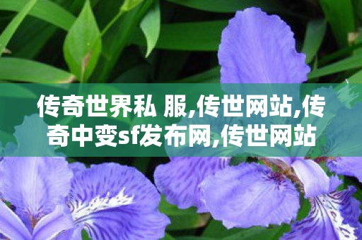 传奇世界私 服,传世网站,传奇中变sf发布网,传世网站