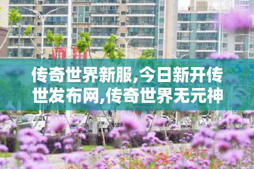 传奇世界新服,今日新开传世发布网,传奇世界无元神区,今日新开传世发布网