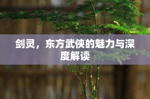 剑灵，东方武侠的魅力与深度解读