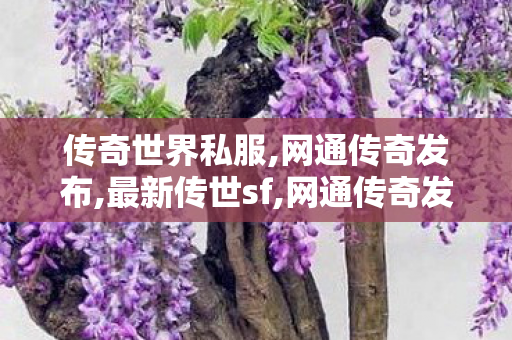 传奇世界私服,网通传奇发布,最新传世sf,网通传奇发布