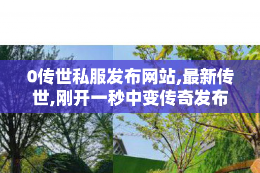 0传世私服发布网站,最新传世,刚开一秒中变传奇发布网,最新传世