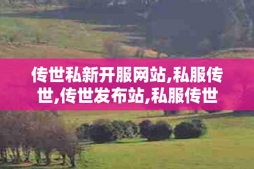 传世私新开服网站,私服传世,传世发布站,私服传世