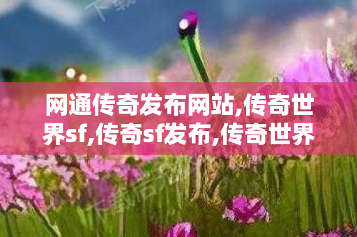 网通传奇发布网站,传奇世界sf,传奇sf发布,传奇世界sf