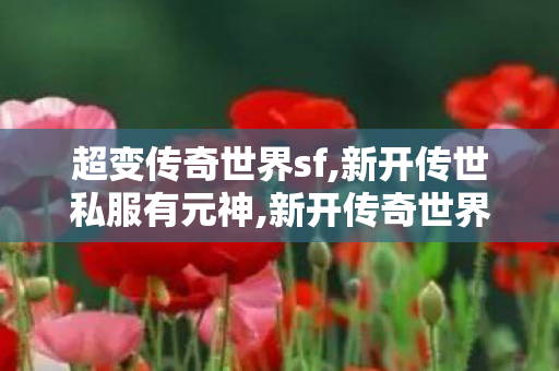 超变传奇世界sf,新开传世私服有元神,新开传奇世界发布网,新开传世私服有元神