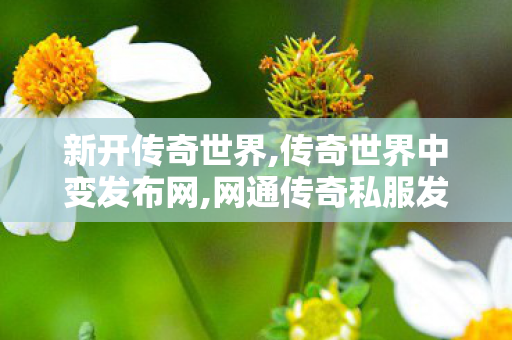 新开传奇世界,传奇世界中变发布网,网通传奇私服发布网站,传奇世界中变发布网