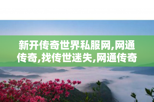 新开传奇世界私服网,网通传奇,找传世迷失,网通传奇