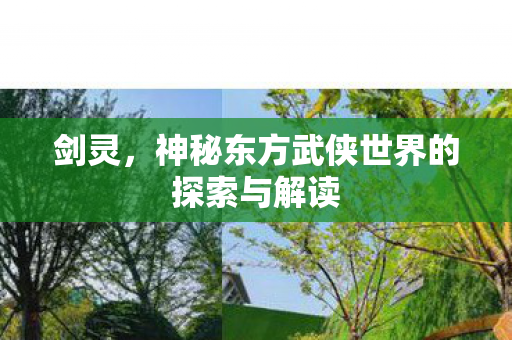 剑灵，神秘东方武侠世界的探索与解读