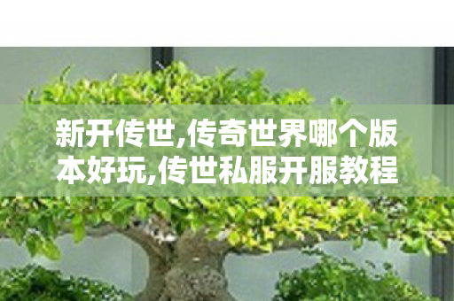 新开传世,传奇世界哪个版本好玩,传世私服开服教程,传奇世界哪个版本好玩