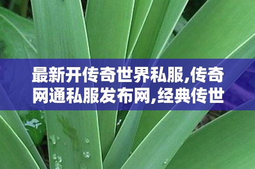 最新开传奇世界私服,传奇网通私服发布网,经典传世私服,传奇网通私服发布网