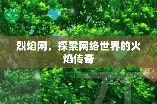 烈焰网，探索网络世界的火焰传奇