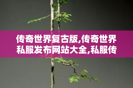 传奇世界复古版,传奇世界私服发布网站大全,私服传奇世界,传奇世界私服发布网站大全