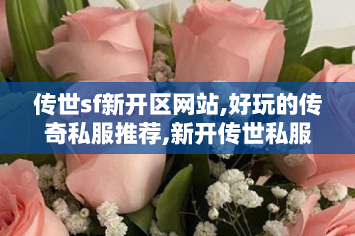 传世sf新开区网站,好玩的传奇私服推荐,新开传世私服,好玩的传奇私服推荐