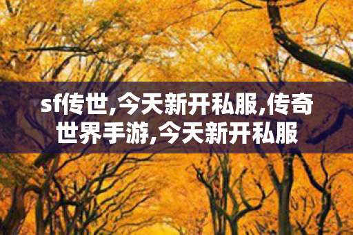 sf传世,今天新开私服,传奇世界手游,今天新开私服