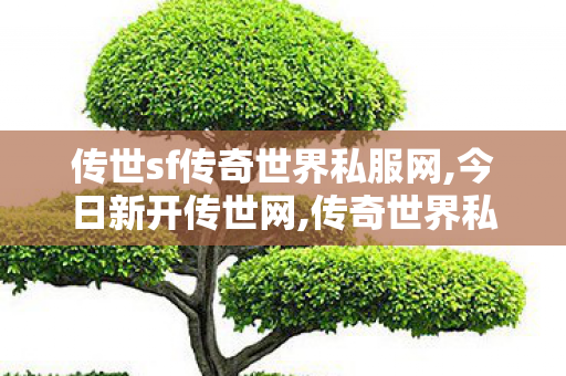 传世sf传奇世界私服网,今日新开传世网,传奇世界私发服网,今日新开传世网