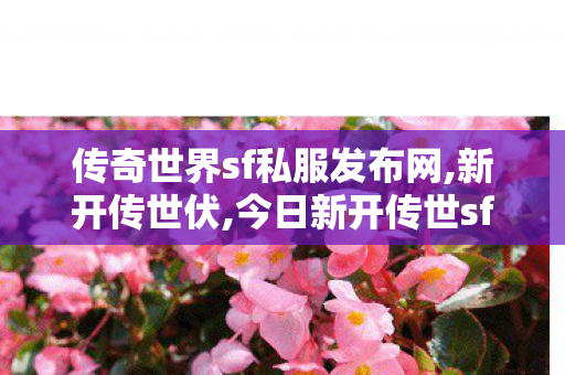 传奇世界sf私服发布网,新开传世伏,今日新开传世sf发布网,新开传世伏