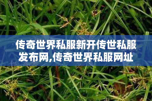 传奇世界私服新开传世私服发布网,传奇世界私服网址,今日新开传奇网站发布网,传奇世界私服网址