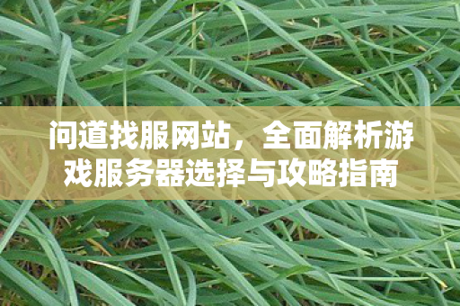 问道找服网站，全面解析游戏服务器选择与攻略指南