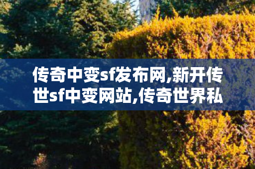 传奇中变sf发布网,新开传世sf中变网站,传奇世界私服,传世私服,新开传世sf中变网站