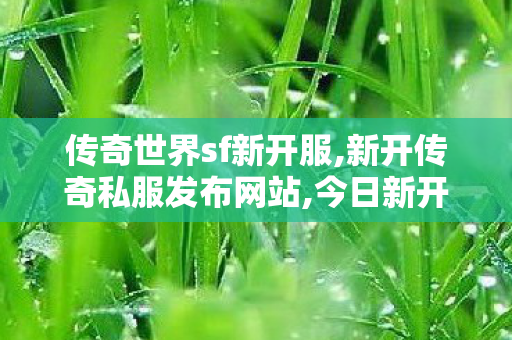 传奇世界sf新开服,新开传奇私服发布网站,今日新开传奇网站发布网,新开传奇私服发布网站