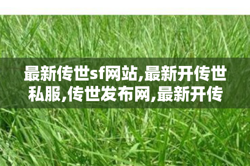最新传世sf网站,最新开传世私服,传世发布网,最新开传世私服