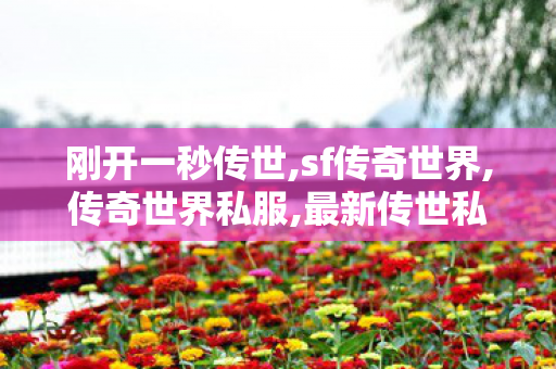 刚开一秒传世,sf传奇世界,传奇世界私服,最新传世私服,sf传奇世界