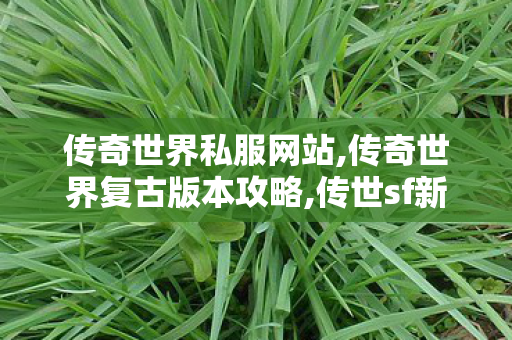 传奇世界私服网站,传奇世界复古版本攻略,传世sf新服,传奇世界复古版本攻略