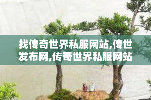 找传奇世界私服网站,传世发布网,传奇世界私服网站,传世发布网