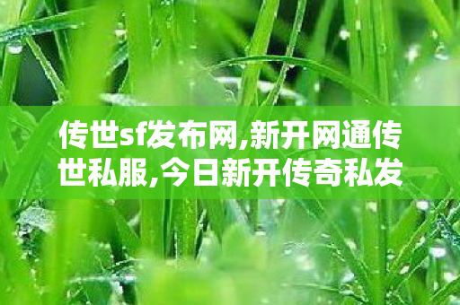 传世sf发布网,新开网通传世私服,今日新开传奇私发服网,新开网通传世私服