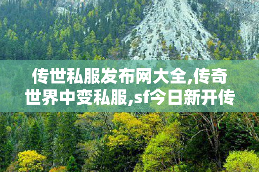 传世私服发布网大全,传奇世界中变私服,sf今日新开传奇,传奇世界中变私服