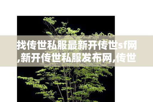 找传世私服最新开传世sf网,新开传世私服发布网,传世网站新开网,新开传世私服发布网