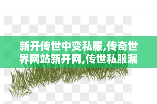 新开传世中变私服,传奇世界网站新开网,传世私服漏洞,传奇世界网站新开网