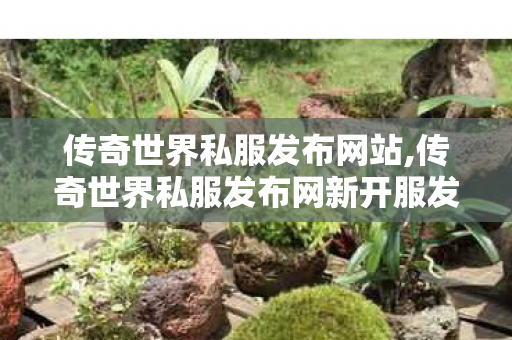 传奇世界私服发布网站,传奇世界私服发布网新开服发布吧,找传世今日新开,传奇世界私服发布网新开服发布吧