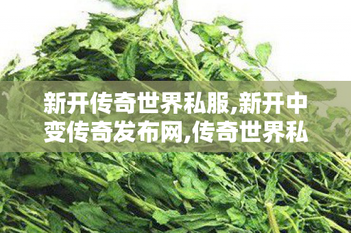 新开传奇世界私服,新开中变传奇发布网,传奇世界私 服,新开中变传奇发布网
