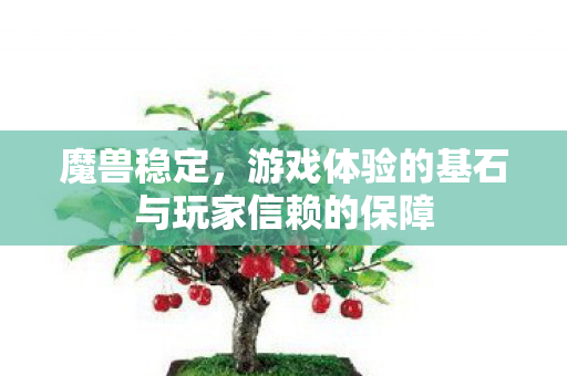 魔兽稳定，游戏体验的基石与玩家信赖的保障