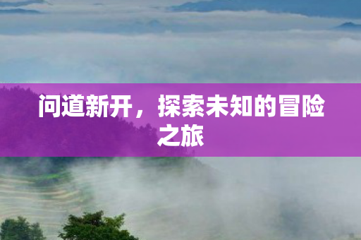 问道新开，探索未知的冒险之旅
