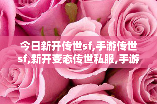 今日新开传世sf,手游传世sf,新开变态传世私服,手游传世sf