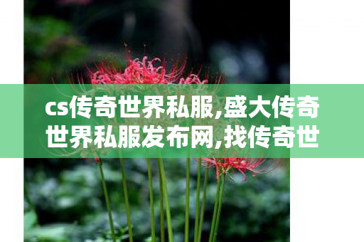 cs传奇世界私服,盛大传奇世界私服发布网,找传奇世界私服的网站,盛大传奇世界私服发布网