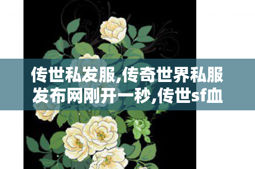 传世私发服,传奇世界私服发布网刚开一秒,传世sf血煞,传奇世界私服发布网刚开一秒