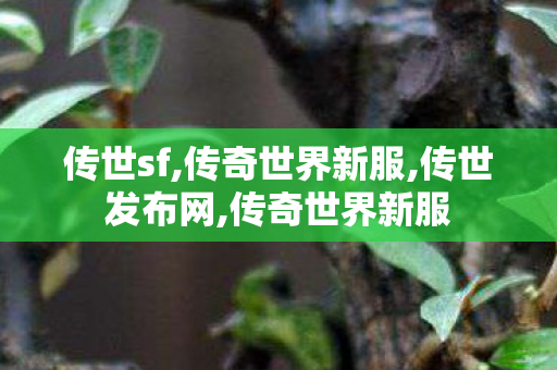 传世sf,传奇世界新服,传世发布网,传奇世界新服